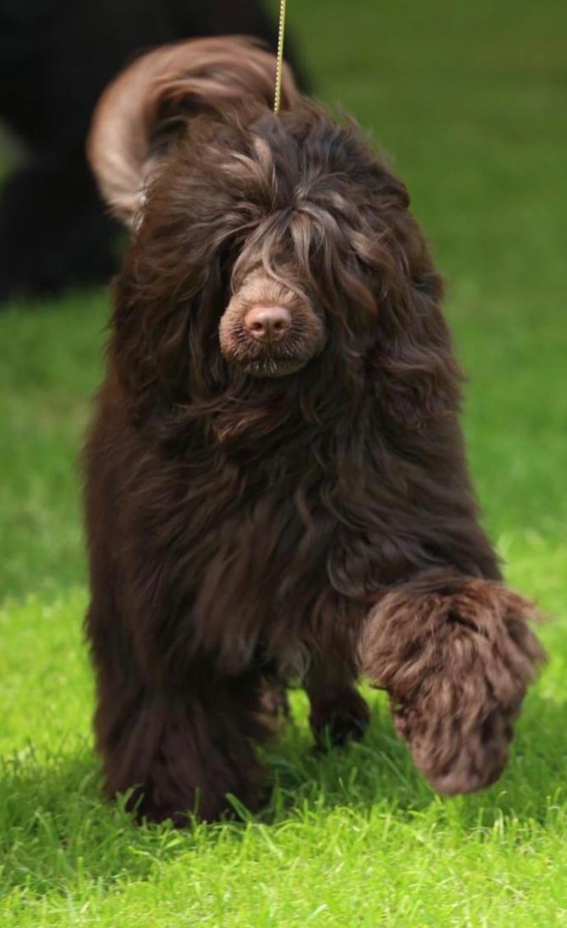 IMG 20240423 WA0026